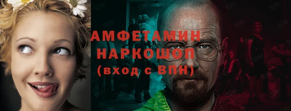 ГАЛЛЮЦИНОГЕННЫЕ ГРИБЫ Майский