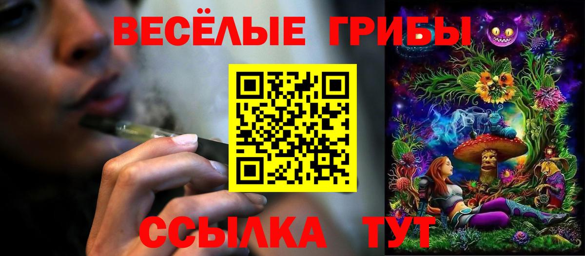 Псилоцибиновые грибы Psilocybine cubensis  Вход с VPN  Кызыл 